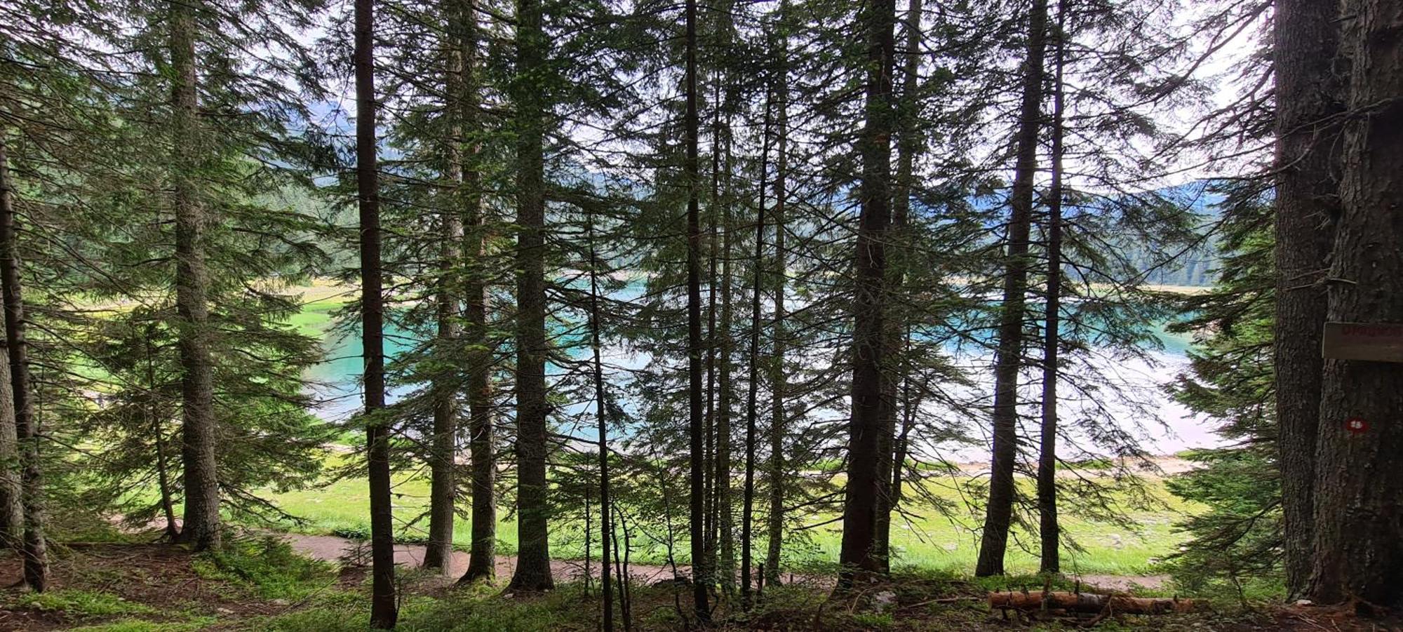 Mountain Villas Zabljak المظهر الخارجي الصورة